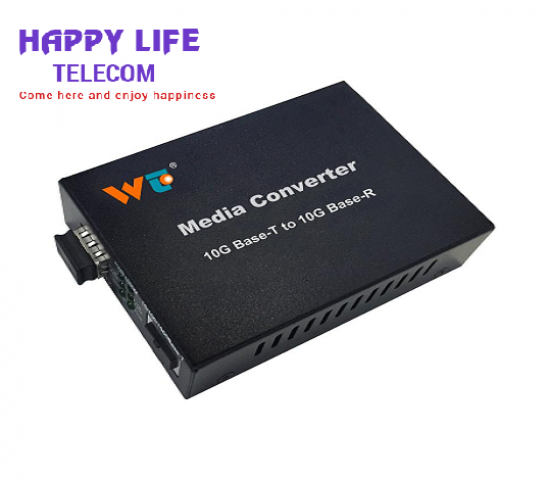 Media Converter 10G-WinTop